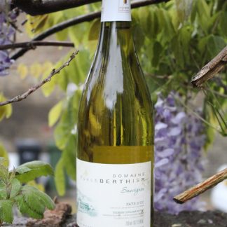 Sauvignon blanc