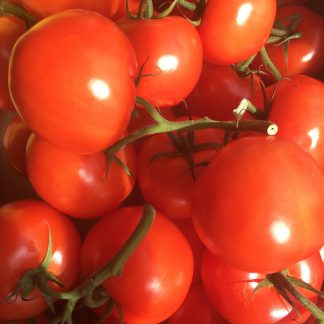 Vine tomatoes, kg